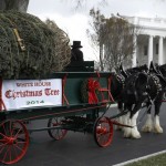 Praznici stižu u Bijelu kuću: Zavirite u dom porodice Obama