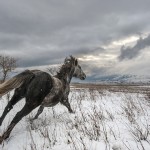 Proglašeni pobjednici festivala Fotografija godine BiH 2014