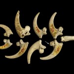 Pronađen najstariji nakit na svijetu