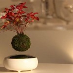 Japanci izumili lebdeća bonsai drvca