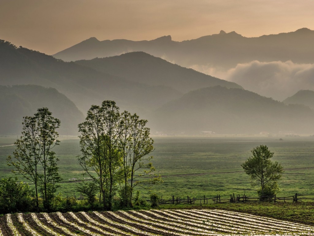 Hubei-Shennongjia