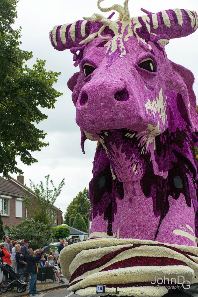 flower-sculpture-parade-corso-zundert-2016-netherlands-11