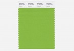boja-godine-2017-pantone-zelena