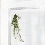 Aromatične biljke u tuš kabini su hit “recept” za opuštanje