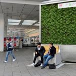 Postavljene klupe za filtriranje vazduha, djeluju kao 275 pravih stabala
