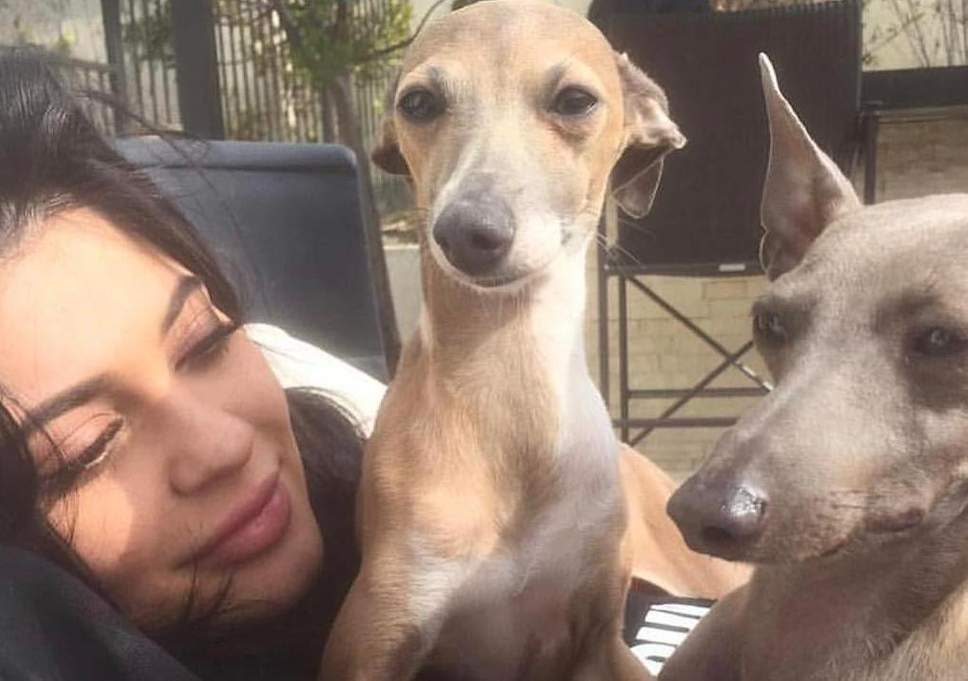 Kylie Jenner izgradila luksuznu kuću za pse sa grijanjem i klima uređajem