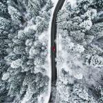 Odvojite par trenutaka i pogledajte neke od najboljih ovogodišnjih fotografija po izboru National Geographica