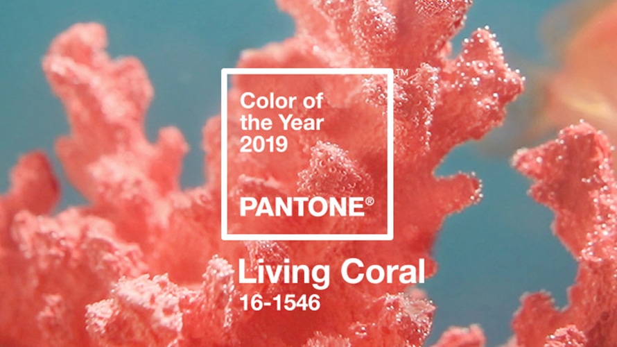 Pantone konačno otkrio: Koraljna je hit boja 2019!