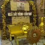 Vijetnamac izgradio “zlatnu kuću” (VIDEO)