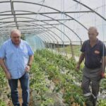 “Bema” odgovoran poslodavac: Ogrev već spreman, plastenici puni domaćeg povrća za restoran