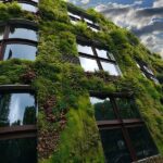 Priroda kao dio arhitektonskog dizajna